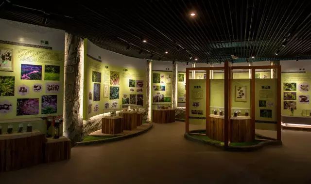 奇妙博物館丨長春有個中醫藥博物館,你知道嗎?